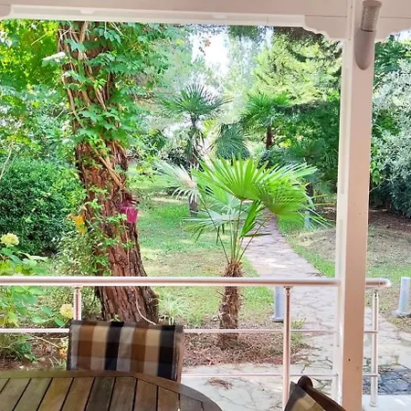 Vacation In Gjiri I Lalezit, Lalez, *