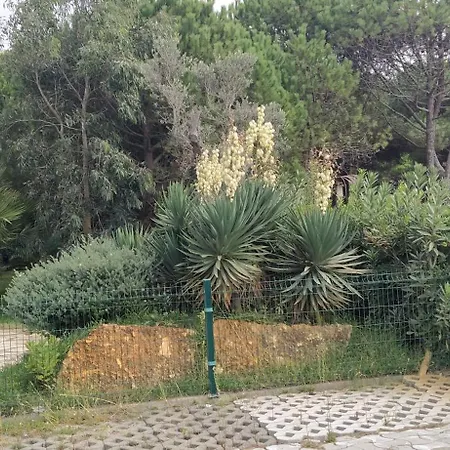 בית נופש Vacation In Gjiri I Lalezit, Lalez, דורס